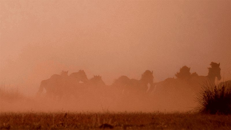 2a77b3_27e962d32d6b4287b5c167a7c9a4046c~mv2.gif__PID:6258acb8-28c1-42c3-ac75-d7f891c97121
